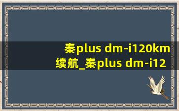 秦plus dm-i120km续航_秦plus dm-i120km续航里程